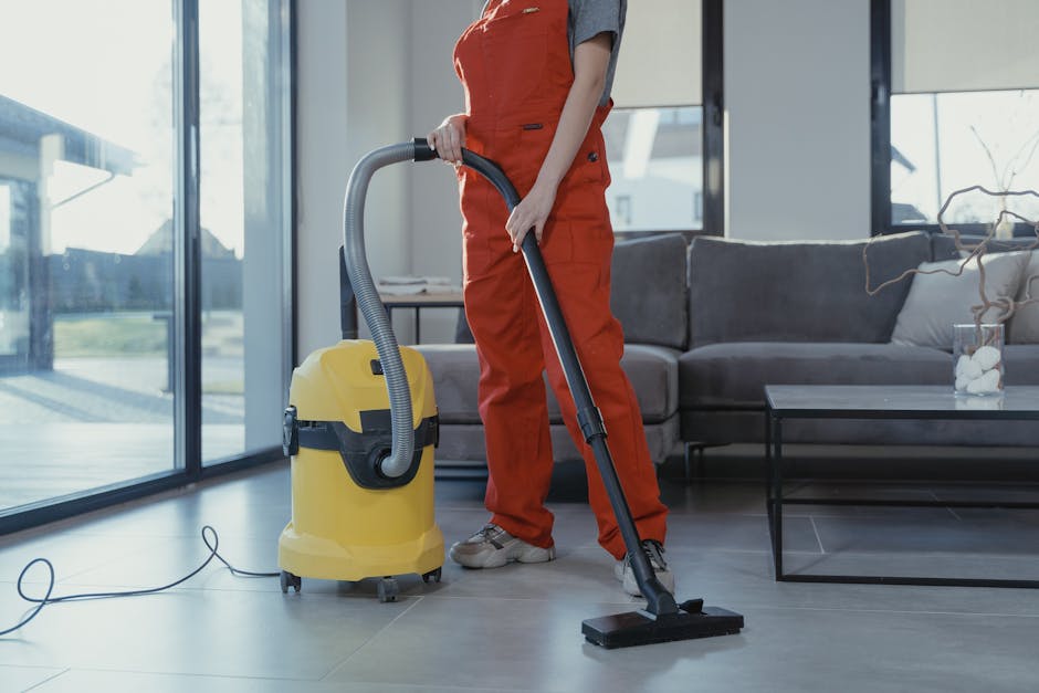 janitorial professional services
