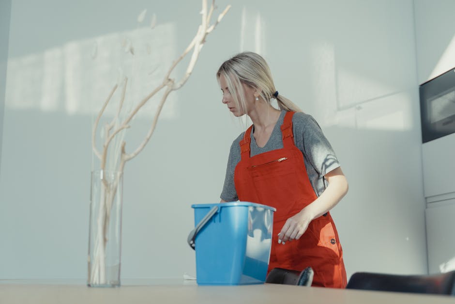 office cleaners in my area